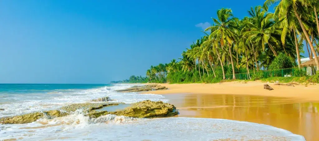 Grenada-Citizenship-By-Investment-Passport-Guide-for-2025-Everything-You-Need-to-Know